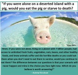 Factory farming - pigs alone on a desert island