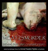 Factory farming - pigs meat is murder