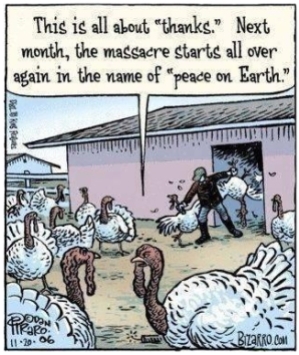 Factory farming - poultry turkey thanks and peace