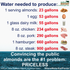 Factory farming - stats water