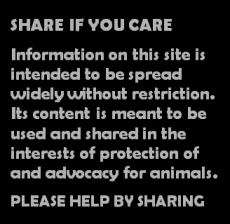 Message - Facebook share if you care
