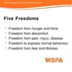 Message - Five freedoms