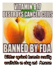 Message - Foods beneficial cancer remedy B17
