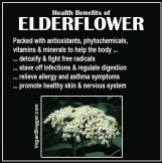 Message - Foods beneficial elderflower