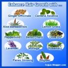 Message - Foods beneficial herbs for hair