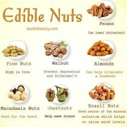 Message - Foods beneficial nuts edible