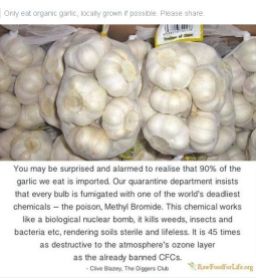 Message - Foods toxic garlic onion not good