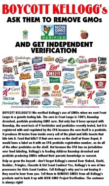 Message - GMOs boycott Kellogs 2