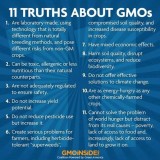 Message - GMOs truths