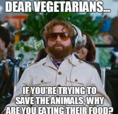 Message - GMOs vegetarians why eat animals food