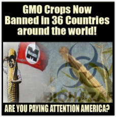 Message - GMOs