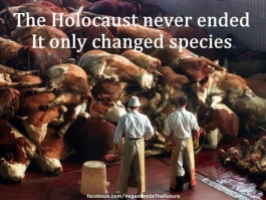 Message - Holocaust didn't end it just changed species pic