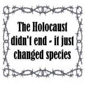 Message - Holocaust didn't end wire frame