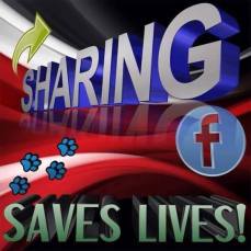 Message - Holocaust Facebook sharing saves lives