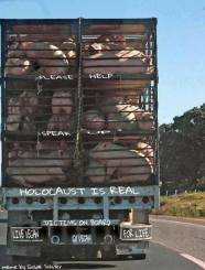 Message - Holocaust is real pigs on lorry help