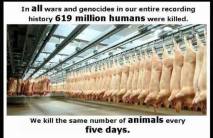 Message - Holocaust numbers killed per five days same as all wars