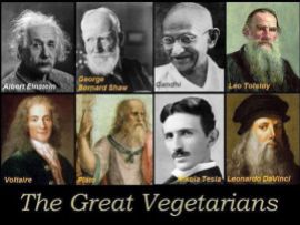 Message - Vegetarians great