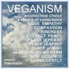 Vegan - conscious choice 1