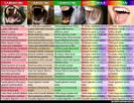 Vegan - fallacies canines 4
