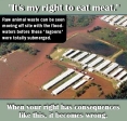 Vegan - fallacies it's my right to eat meat