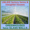 Vegan - foods greenhouses have glass walls