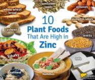 Vegan - foods plant foodss high in zinc