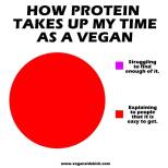 Vegan - foods protein how much of my time is taken up
