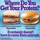 Vegan - foods protein not from animals