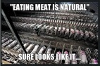 Vegan - holocaust fallacies meat-eating is natural Tw