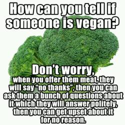Vegan - how tell if somone is