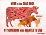 Vegan - meat dead body of someone