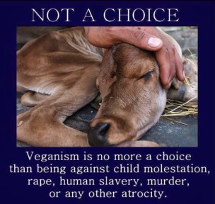 Vegan - not a choice