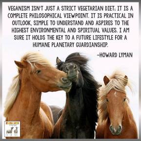 Vegan - not just a strict diet