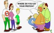 Vegan - protein where do you get