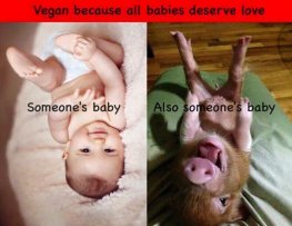 Vegan - someone's babies
