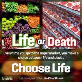 Vegan - truth reasons choose ife or death