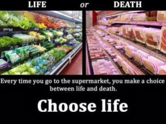 Vegan - truth reasons choose life or death