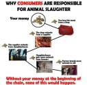 Vegan - truth reasons consumers responsible for slaughter
