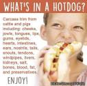 Vegan - truth reasons diisgusting hotdog what is in one