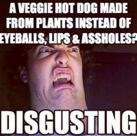 Vegan - truth reasons disgusting hot dog
