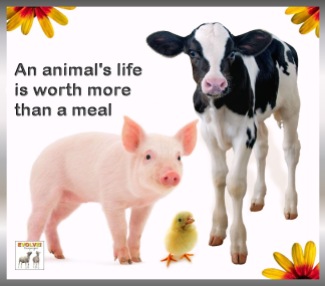 Vegan - truth reasons life worth more than a meal