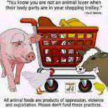 Vegan - truth reasons loves animals not when body parts in trolley