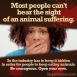 Vegan - truth reasons most people can't bear the sight