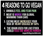 Vegan - truth reasons to be