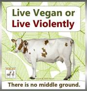 Vegan - truth reasons violence no middle ground