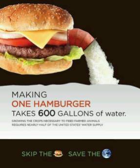 Vegan - truth reasons water hamburger takes 600 gallons