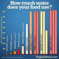 Vegan - truth reasons water waste