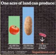 Vegan - truth stats one acre of land produce