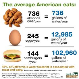 Vegan - truth stats water nuts eggs hamburgers