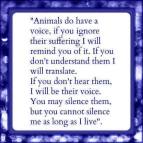 Animal abuse - Animals talk do have a voice